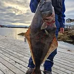 Mausund- Oyperla I Havet! Egen Batplass Ved Hytta!