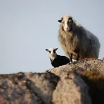 Mausund- Oyperla I Havet! Egen Batplass Ved Hytta! 別荘 Frøya