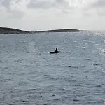 Mausund- Oyperla I Havet! Egen Batplass Ved Hytta! Feriehus *