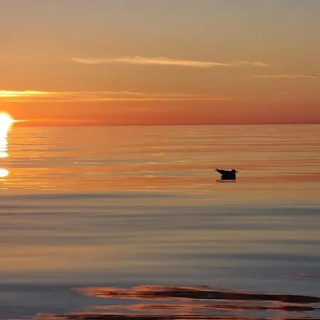 Hébergement de vacances Mausund- Oyperla I Havet! Egen Batplass Ved Hytta! *