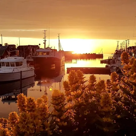 Mausund- Oyperla I Havet! Egen Batplass Ved Hytta! Hébergement de vacances *