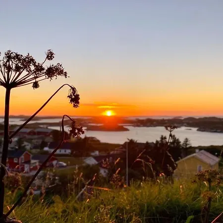 Mausund- Oyperla I Havet! Egen Batplass Ved Hytta! *